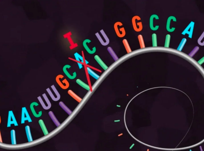 Click to enlarge gene editing
