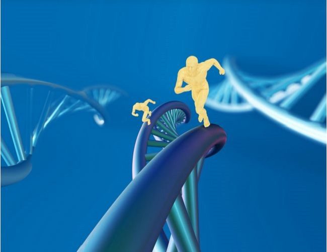 Click to enlarge Fitness and DNA
