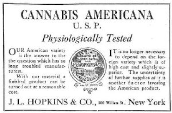 Click to enlarge Cannabis