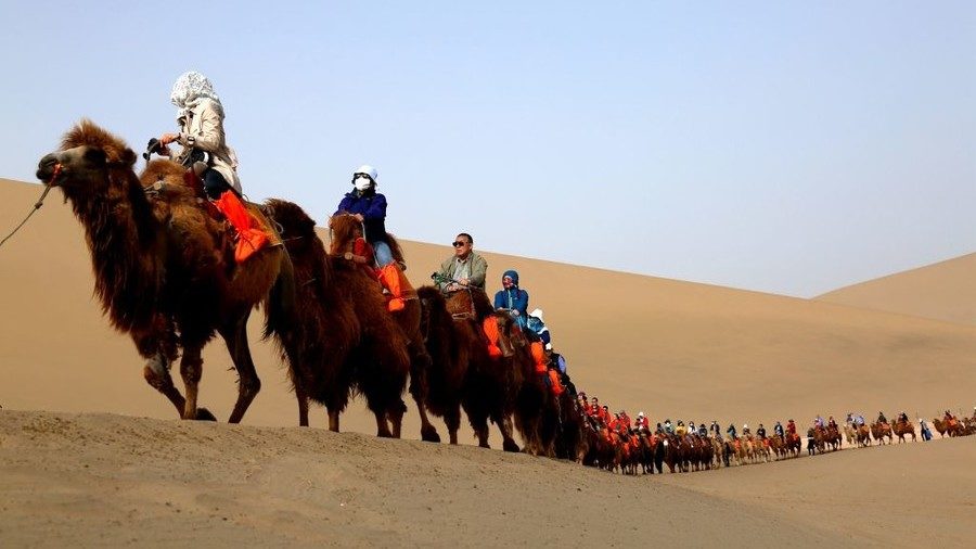Click to enlarge camel caravan