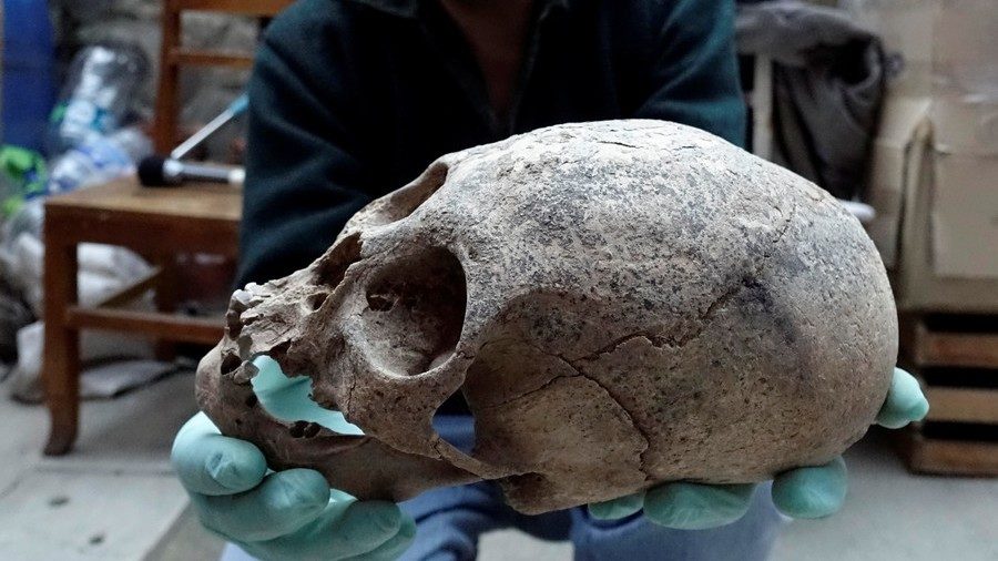 Skull