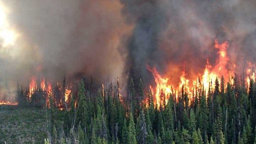 Click to enlarge Canada Shovel Lake wildfire