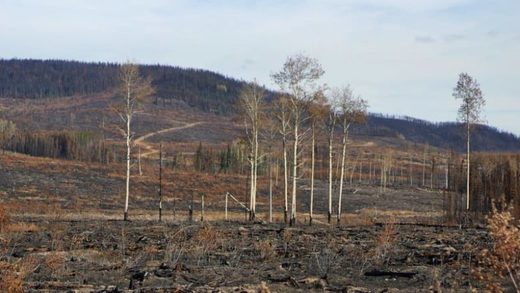 Click to enlarge Canada Shovel Lake wildfire