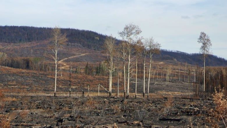 Click to enlarge Canada Shovel Lake wildfire