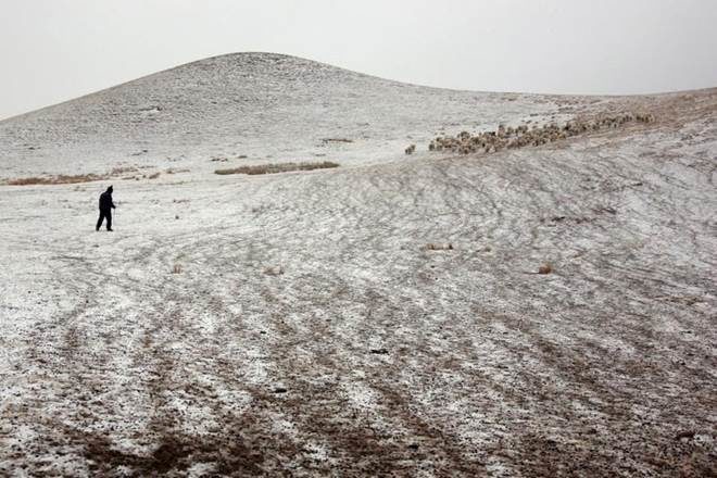 The Qinghai-Tibet Plateau