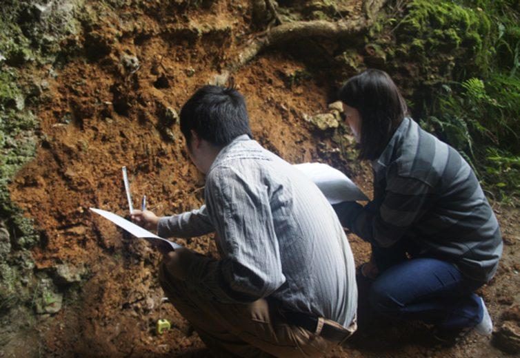 Collecting Samples