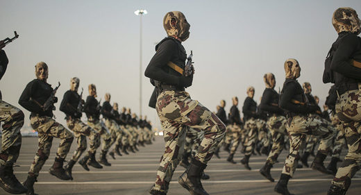 UAE troops