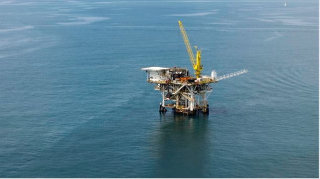 newfoundland oil spill