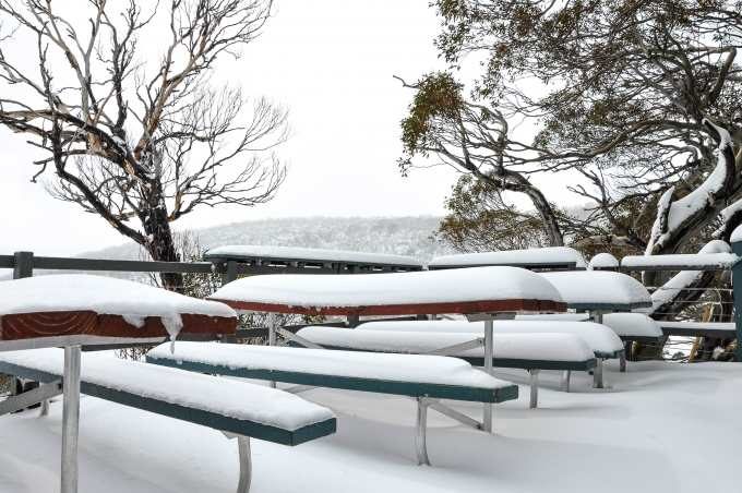 Click to enlarge Perisher, this morning, Friday November 23.