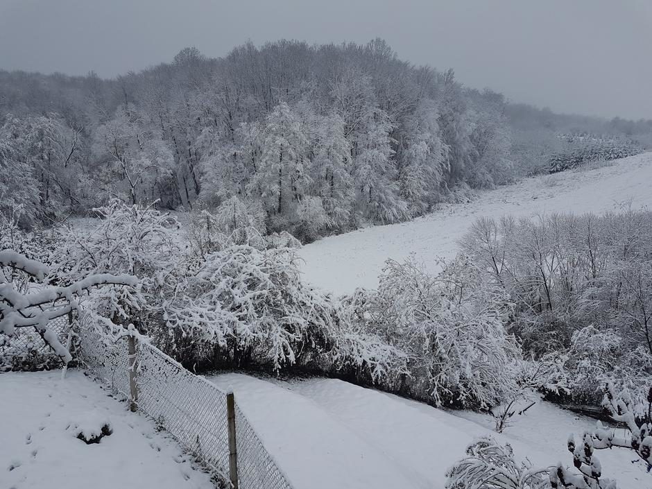 Click to enlarge snow