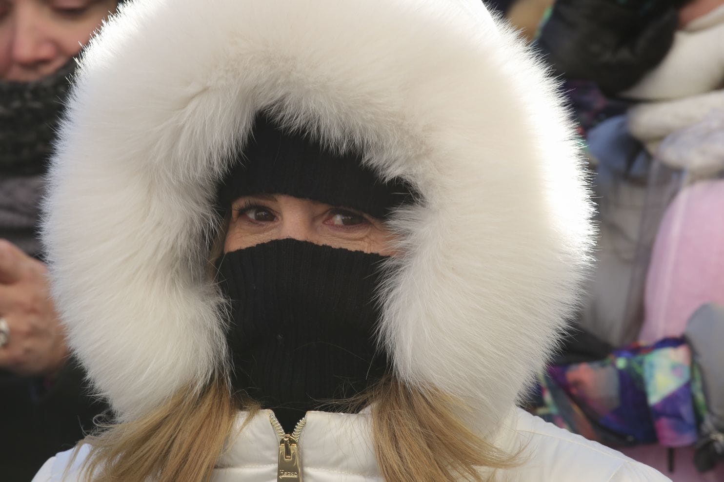 Adapt 2030 Ice Age Report Record cold Thanksgiving temperatures caused