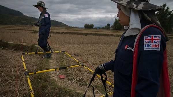 Click to enlarge MAG personnel searching a rice paddy.
