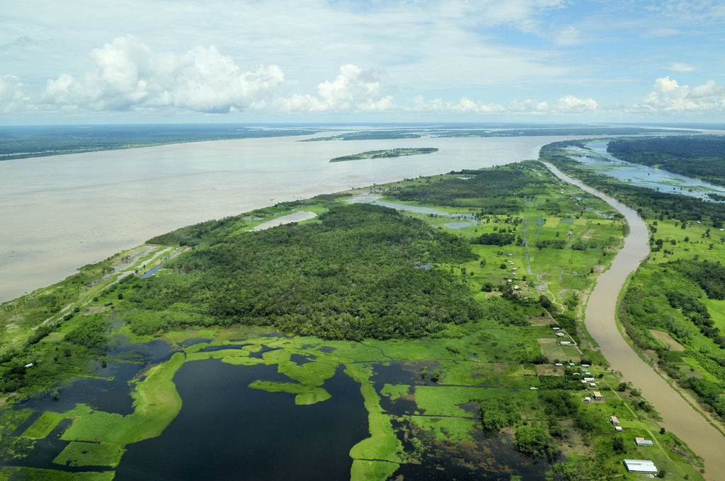 Click to enlarge Deforestation Amazon