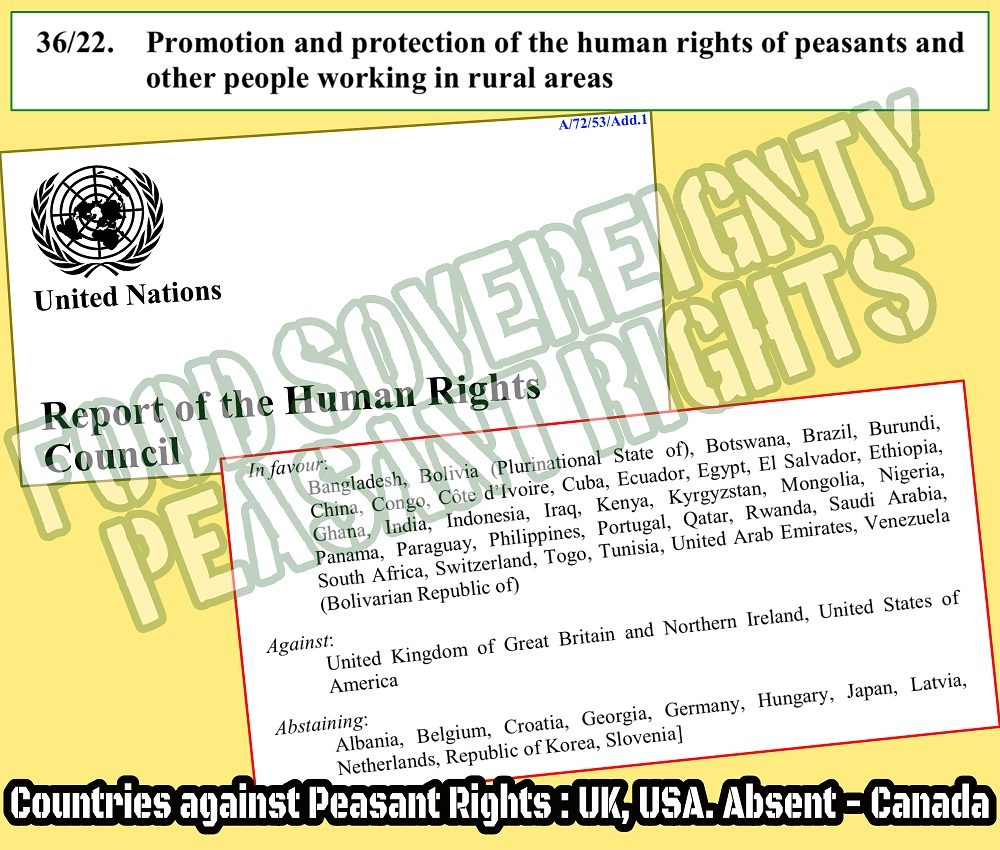 UN Peasant rights