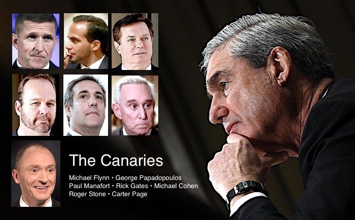 The canaries