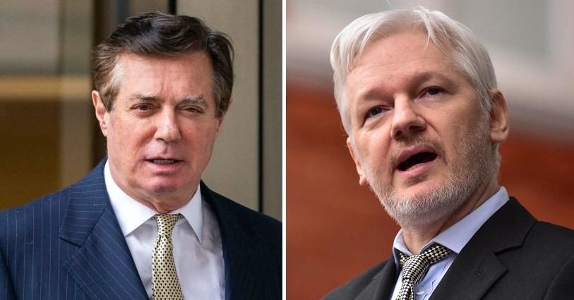Manafort Assange