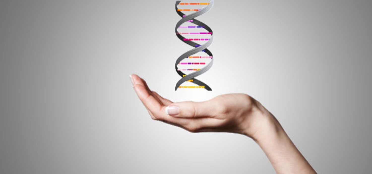 Epigenetics