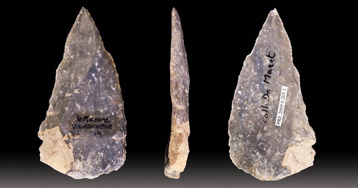 Levallois stone tool technology