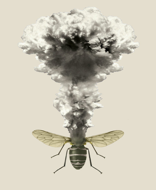 bees