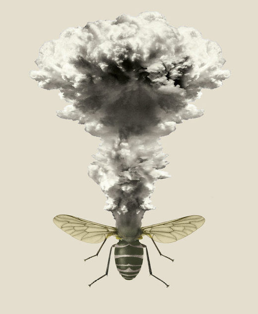The insect apocalypse is here The insect apocalypse is here