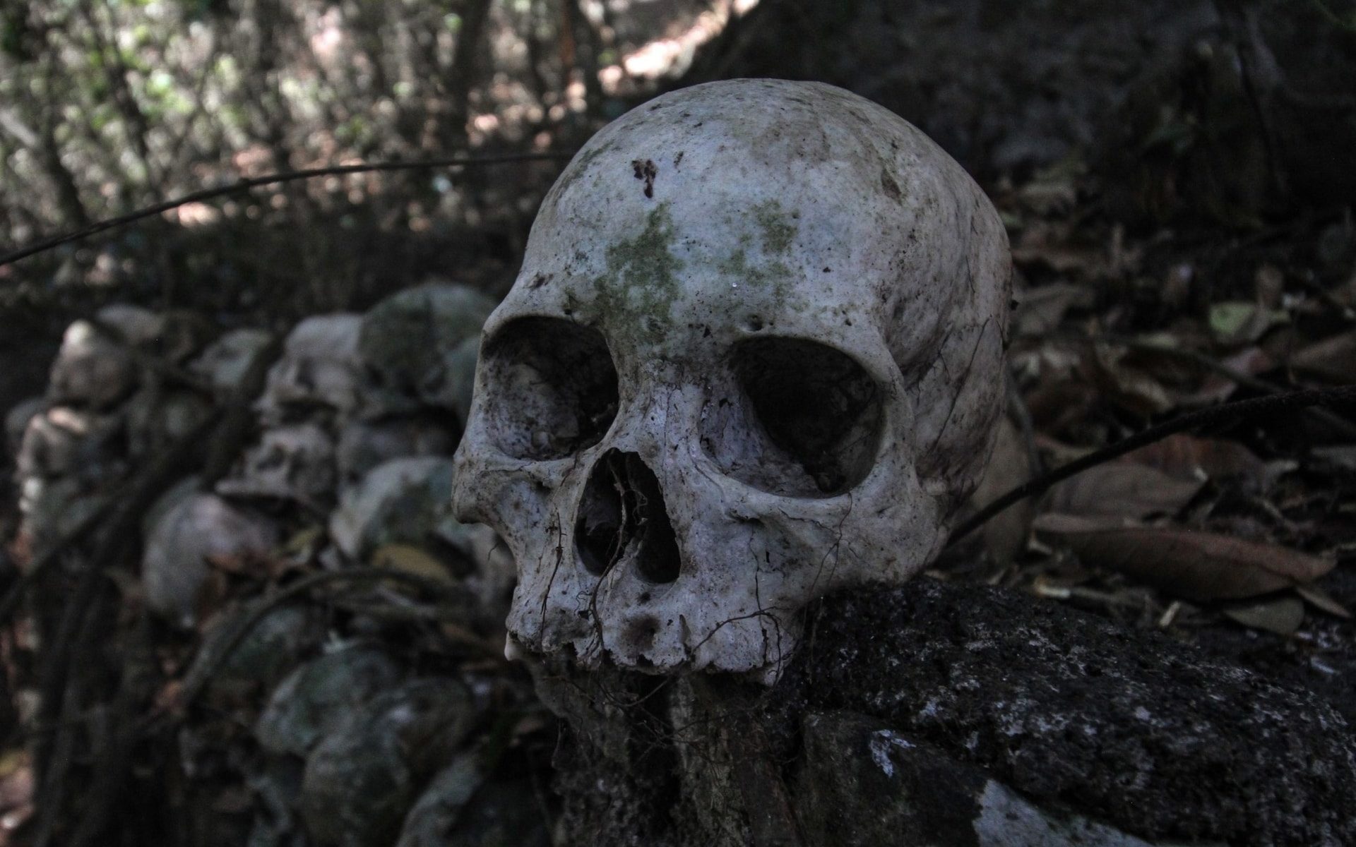 Corpse smuggler arrested in India