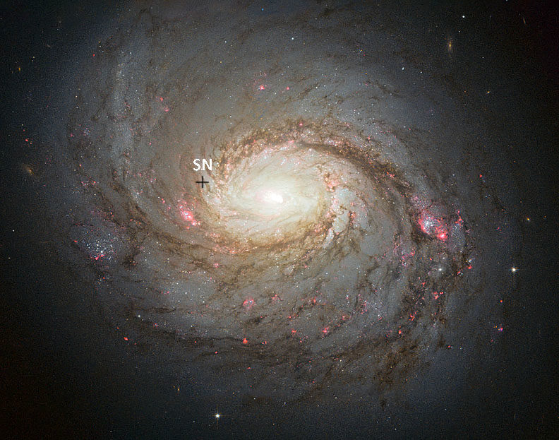 Click to enlarge Supernova in M77