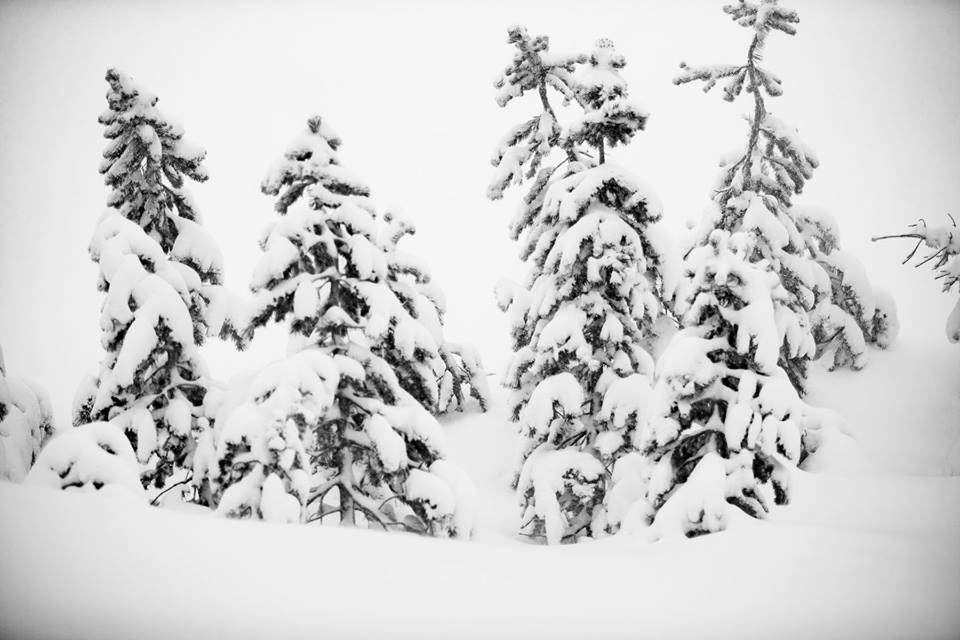 Click to enlarge Mammoth Mountain