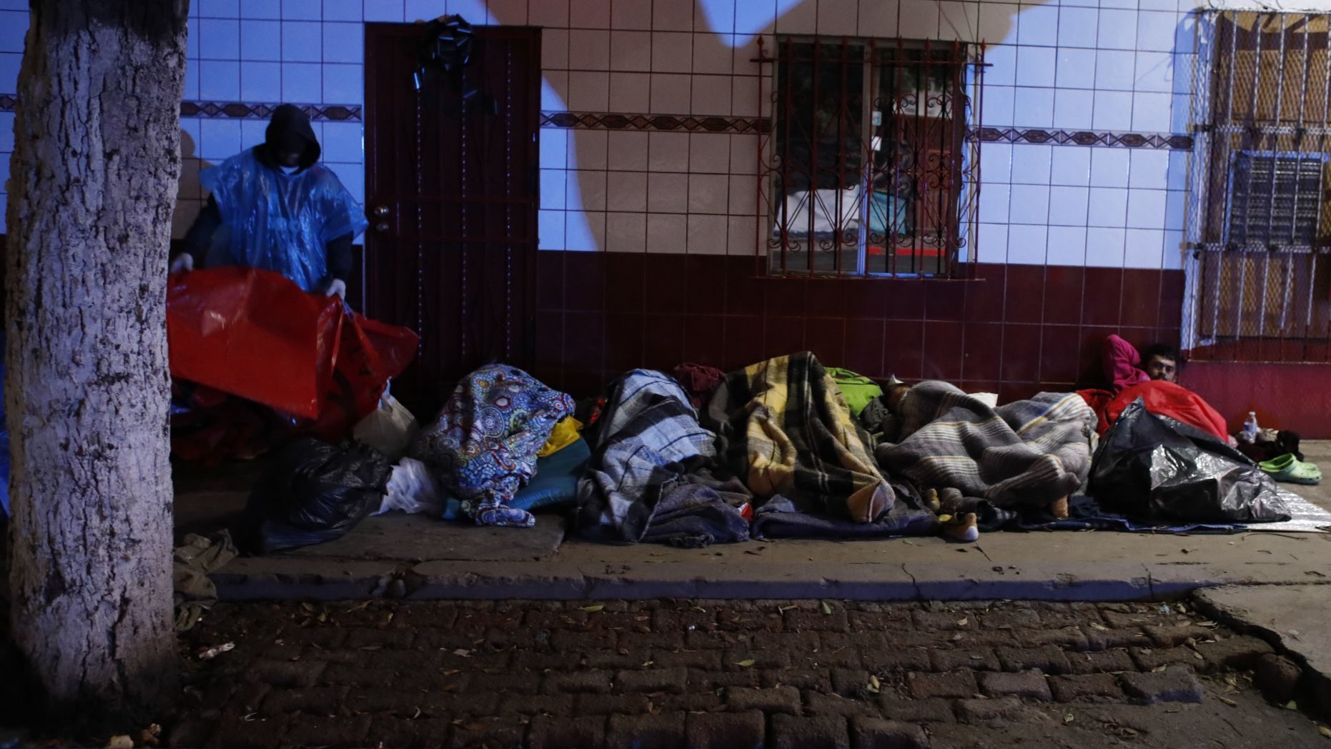 Click to enlarge sleeping migrants
