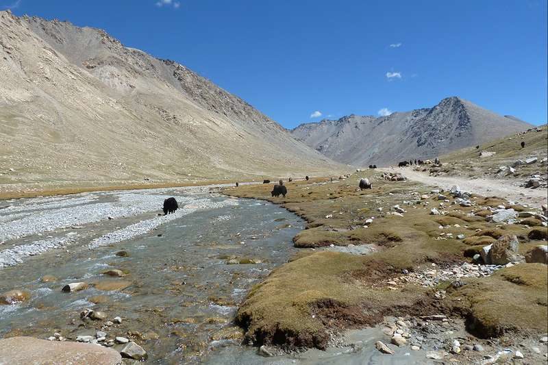 Nwya Devu Tibet