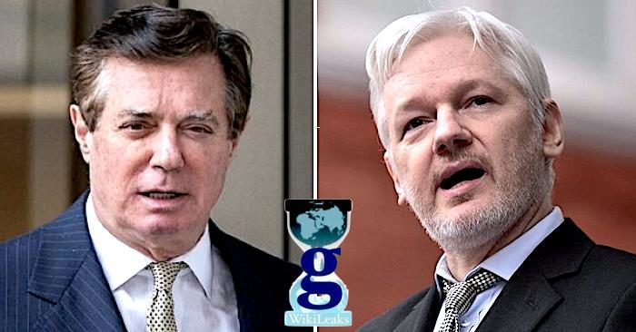 Manafort/Assange