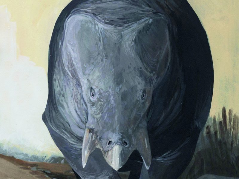 Click to enlarge dicynodont