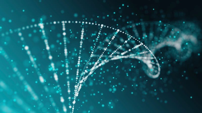 DNA image