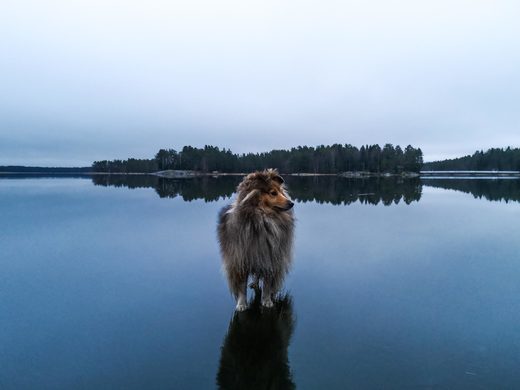 Frozen lake