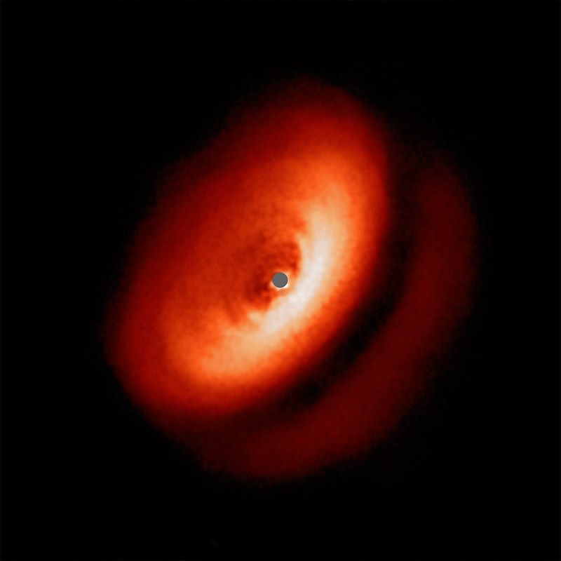 SPHERE captures a dusty disk around IM Lupi.