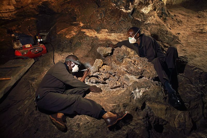 Click to enlarge Palaeoanthropologists