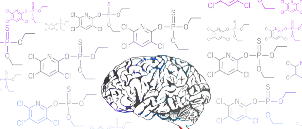 Science in the News (Harvard University)