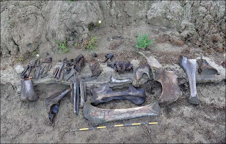 Click to enlarge Prehistoric Arctic burial pit