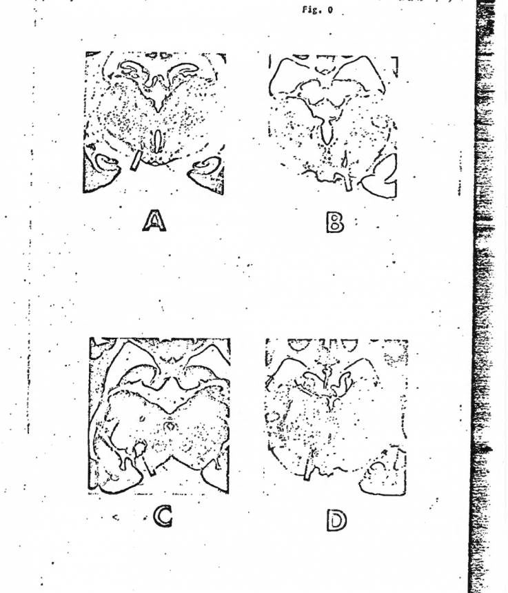 Click to enlarge dogs MKUltra CIA