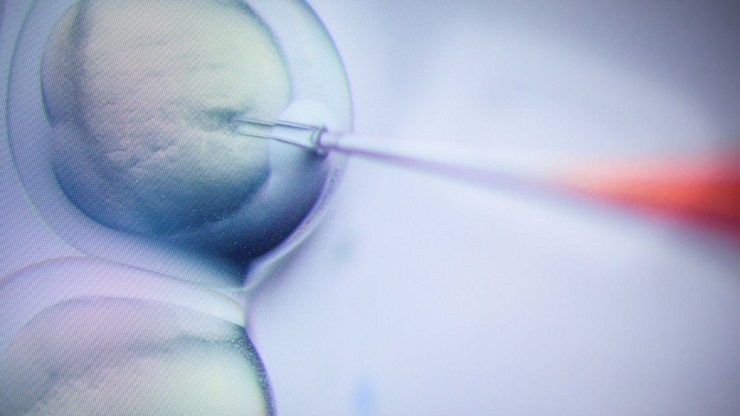 Click to enlarge gene-editing