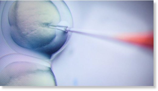 gene-editing