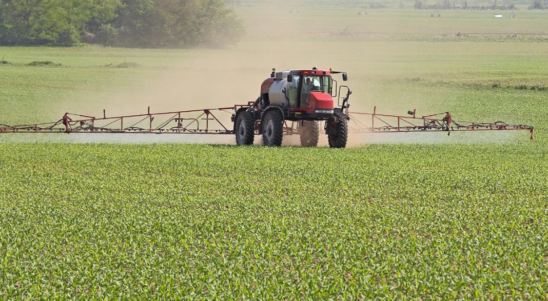 roundup spraying