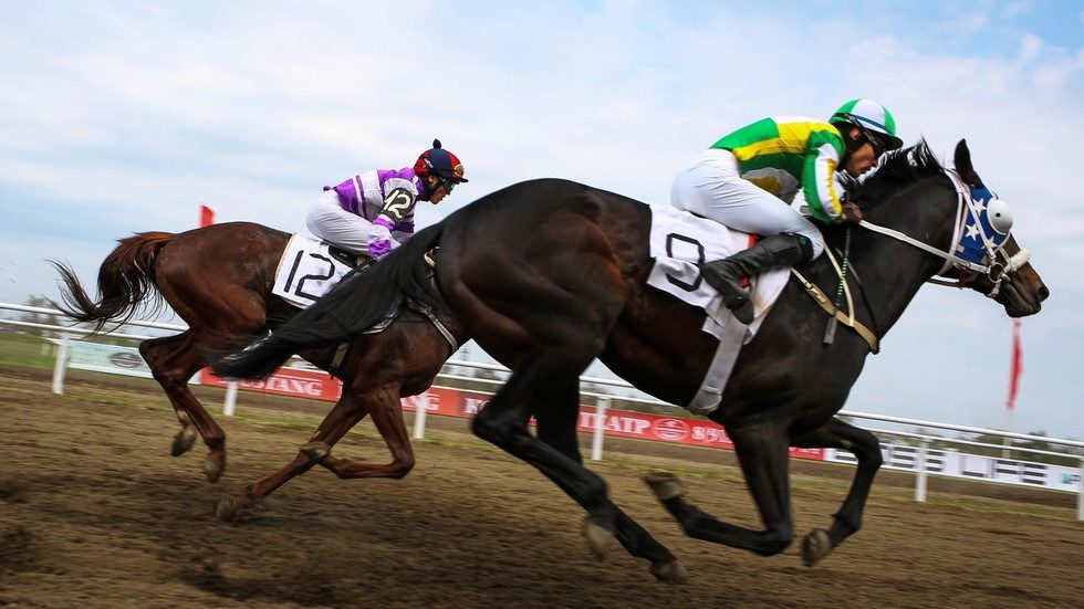 Click to enlarge Russia horse racing