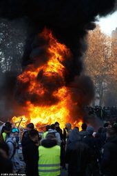 Toulouse yellow vests