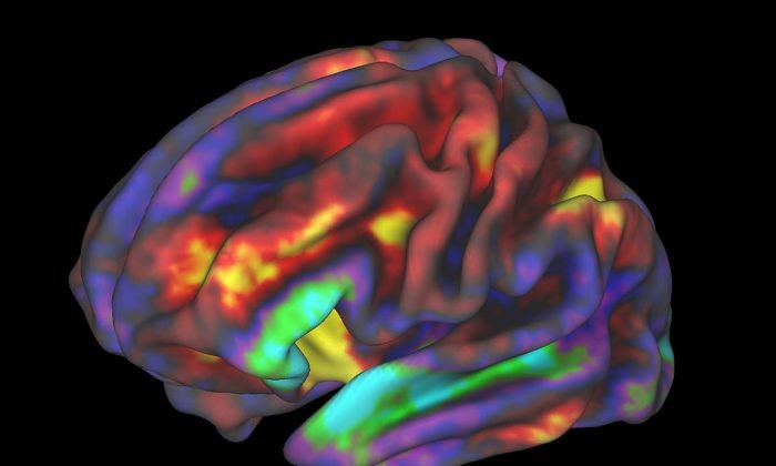 screen time affects brain structure