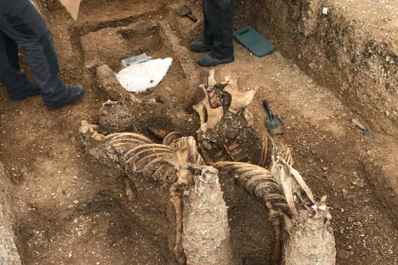 Click to enlarge iron age horses Pocklington Yorkshire