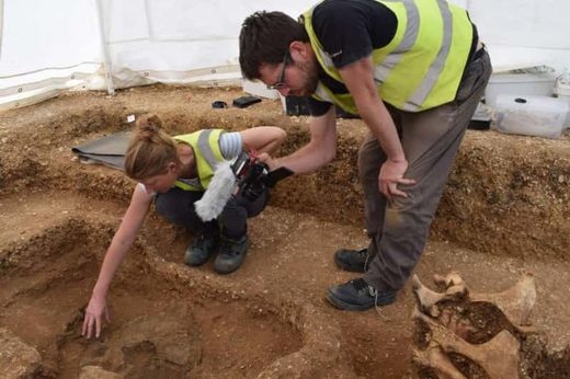 Iron Age horses chariot EAst Yorkshire