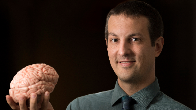 Click to enlarge thalamus neurologist