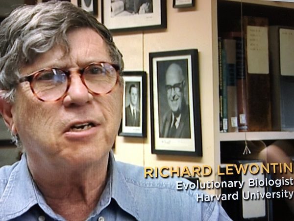 Click to enlarge richard lwontin