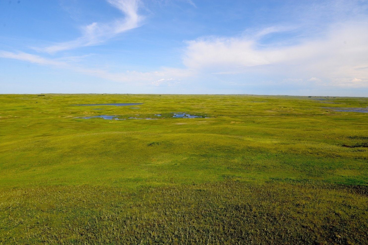 North Dakota grasslands
