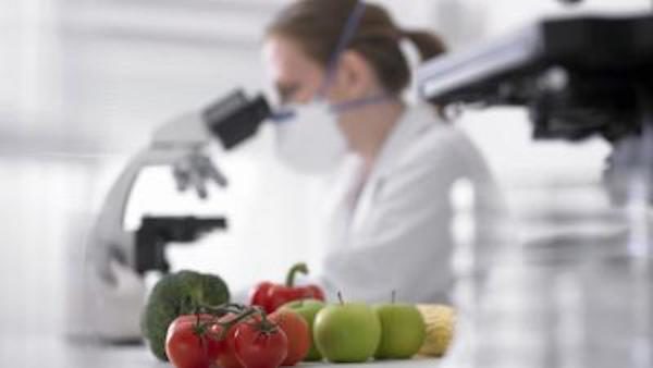 GMO foods